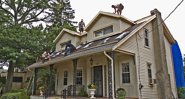 Best Flat Roof Repair Services  in Alpine, NJ